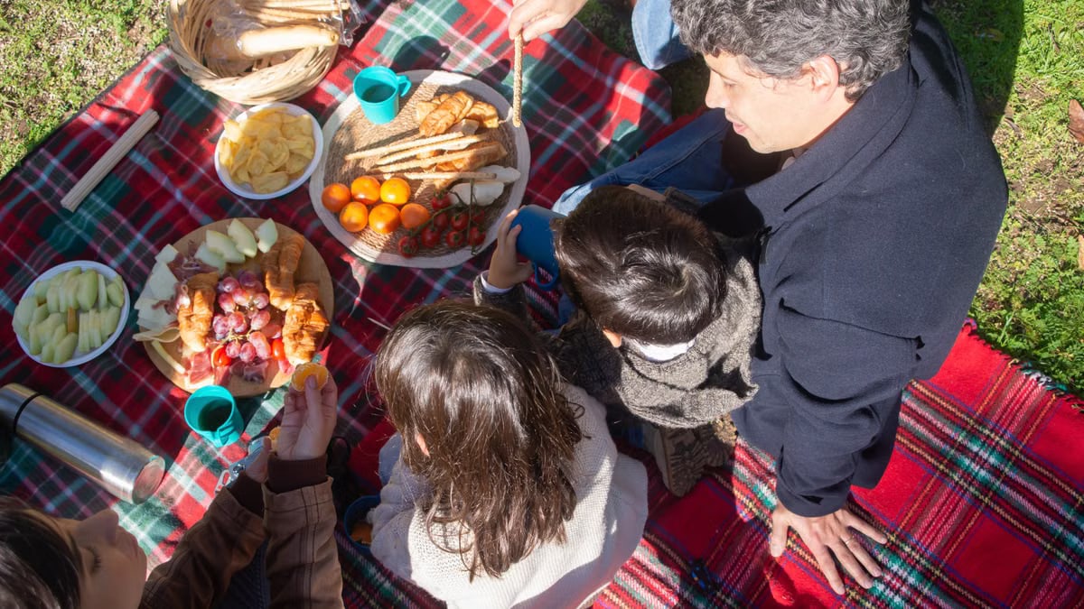 Overhead shot of a family sharing a picnic on a plaid blanket during a sunny day.